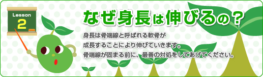 なぜ身長は伸びるの?