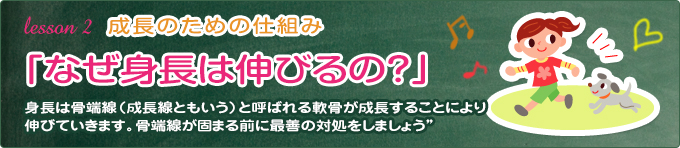 なぜ身長は伸びるの？身長が伸びる仕組み