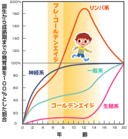 スキャモンの発育発達曲線