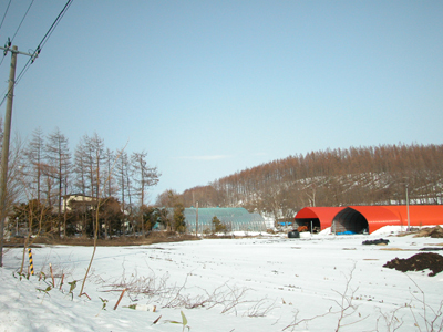 清里町の風景