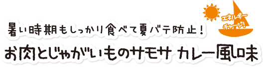 エネルギーに！ 「お肉とじゃがいものサモサ」