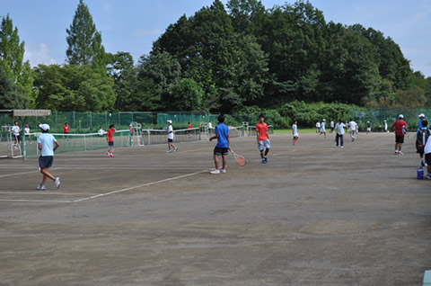 スポーツ応援プログラム