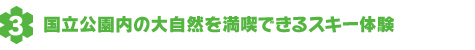 国立公園内の大自然を満喫できるスキー体験