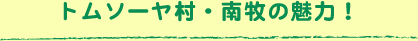 トムソーヤ村・南牧の魅力！