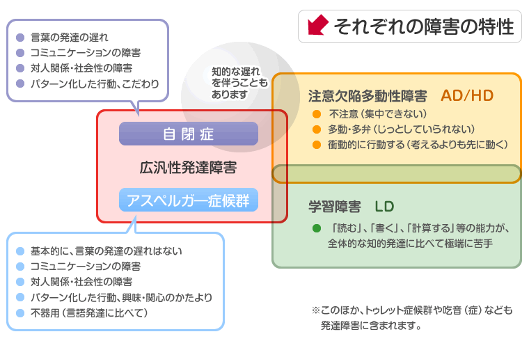 ２歳の発達障害の症状をチェック 遅れの特徴 診断方法は スクスクのっぽくん